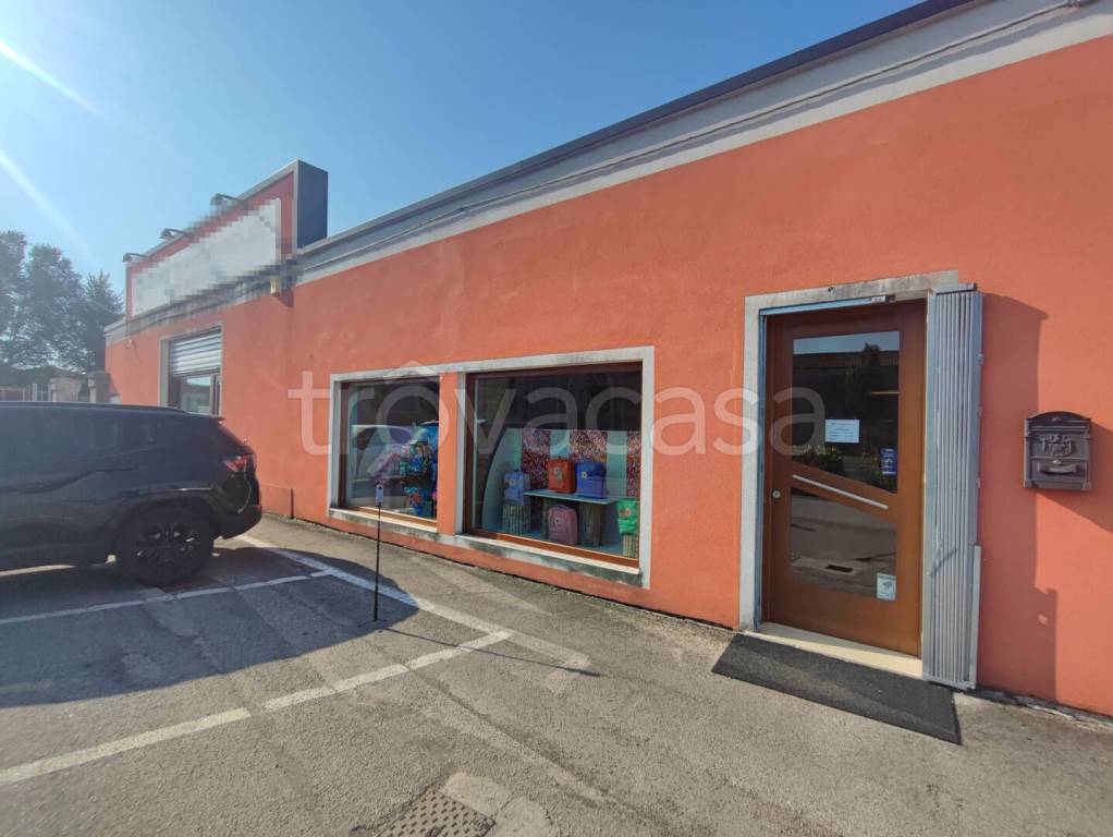 appartamento in vendita a Lendinara in zona Rasa