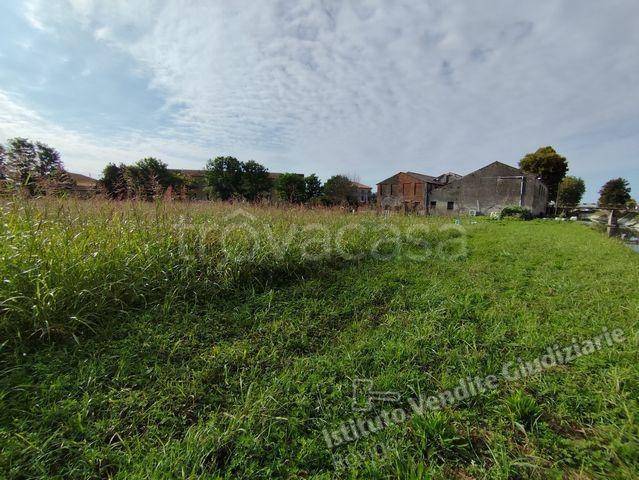 terreno agricolo in vendita a Lendinara in zona Saguedo