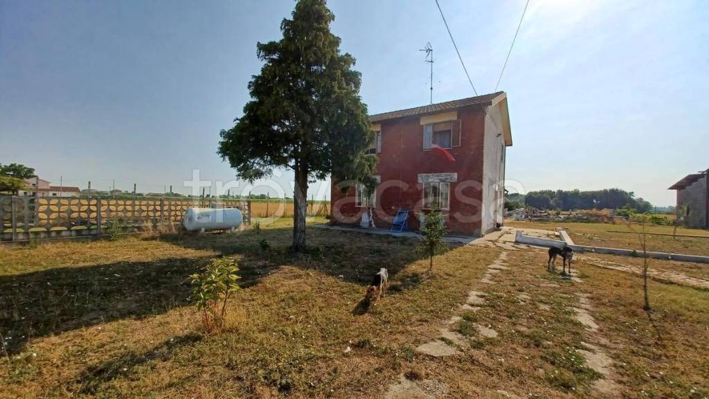 terreno edificabile in vendita a Loreo in zona Grimana