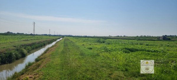 azienda agricola in vendita a Loreo