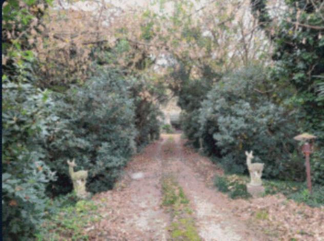 casa indipendente in vendita a Loreo