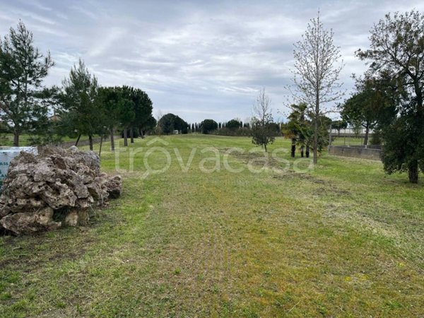 terreno agricolo in vendita a Loreo in zona Pilastro