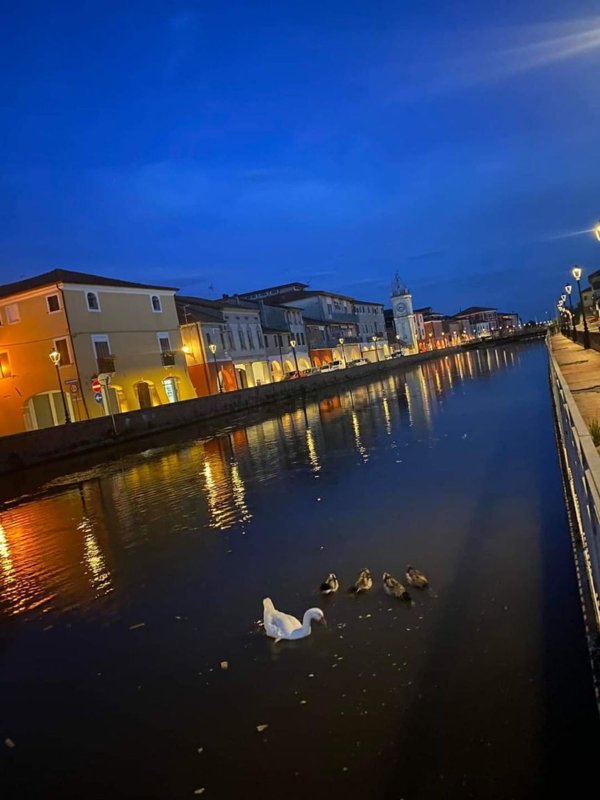 casa indipendente in vendita a Loreo