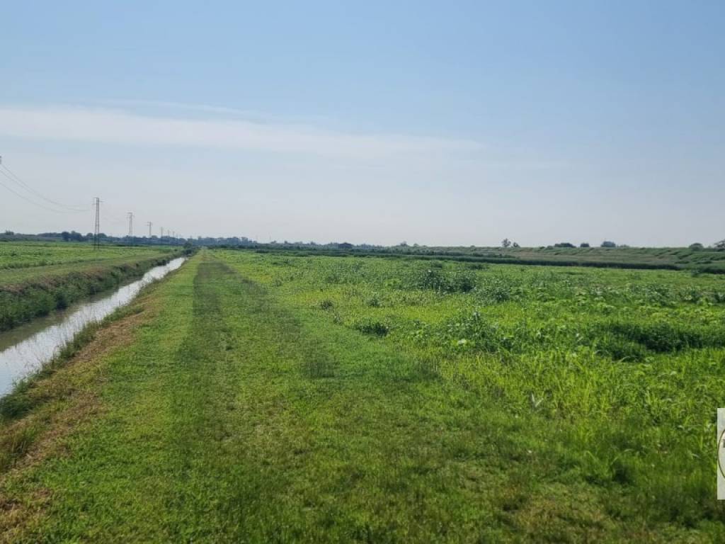 terreno agricolo in vendita a Loreo