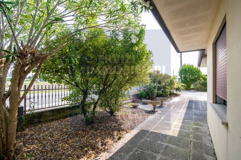 casa indipendente in vendita a Lusia