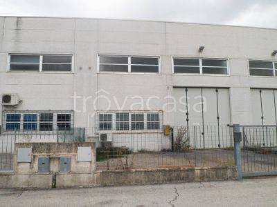 appartamento in vendita ad Occhiobello