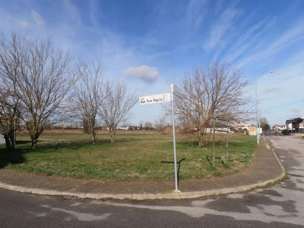 terreno agricolo in vendita ad Occhiobello