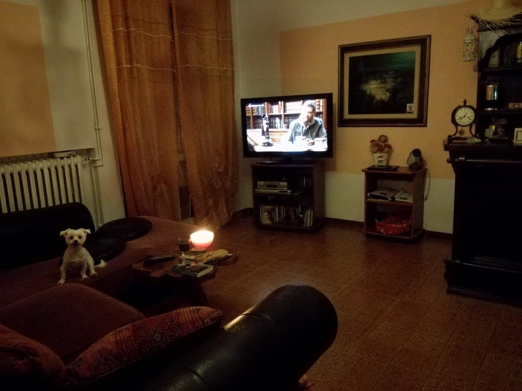 appartamento in vendita ad Occhiobello in zona Santa Maria Maddalena