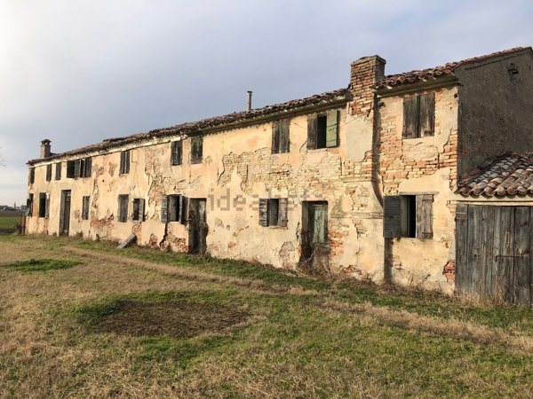 esavano in vendita ad Occhiobello