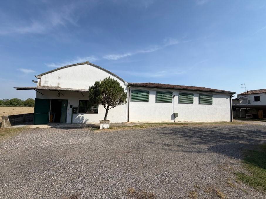 locale commerciale in vendita ad Occhiobello