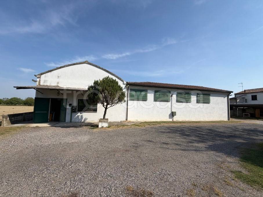 appartamento in vendita ad Occhiobello in zona Gurzone