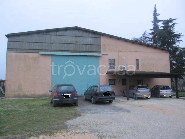 capannone in vendita a Papozze