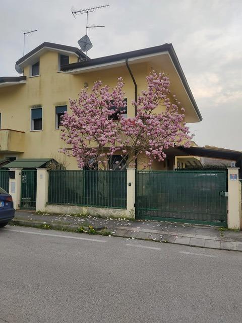 casa indipendente in vendita a Papozze
