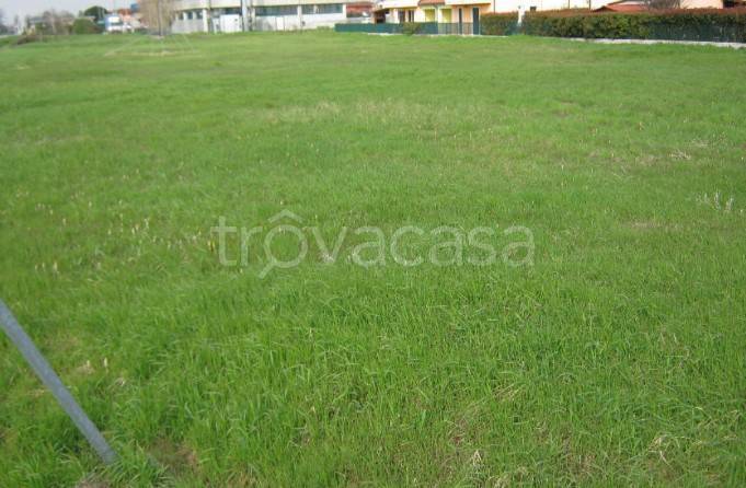 terreno edificabile in vendita a Pettorazza Grimani