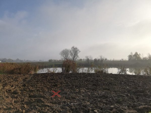 terreno agricolo in vendita a Pettorazza Grimani in zona Boscofondi