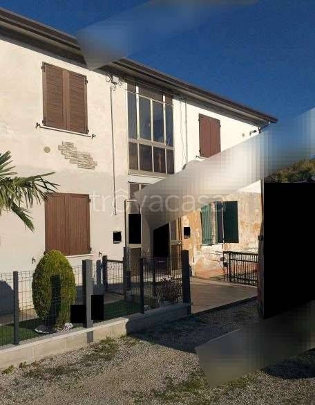 appartamento in vendita a Pettorazza Grimani in zona Boscofondi