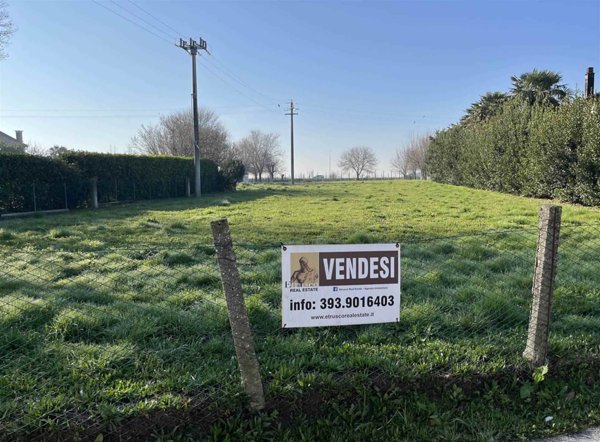casa indipendente in vendita a Pettorazza Grimani in zona Papafava