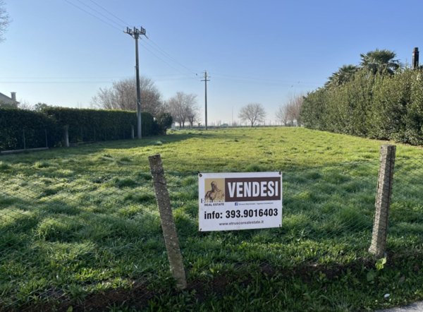 terreno agricolo in vendita a Pettorazza Grimani in zona Papafava