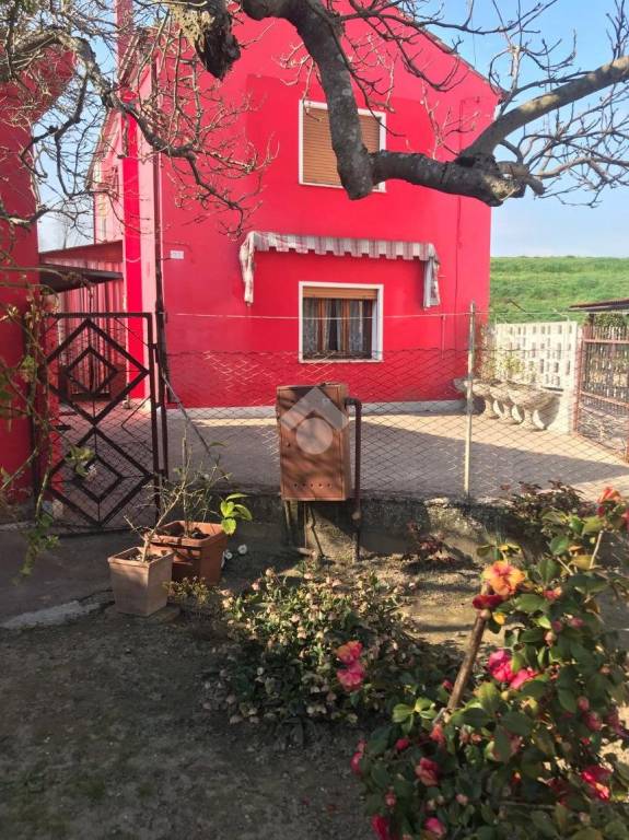 casa indipendente in vendita a Pettorazza Grimani in zona Papafava