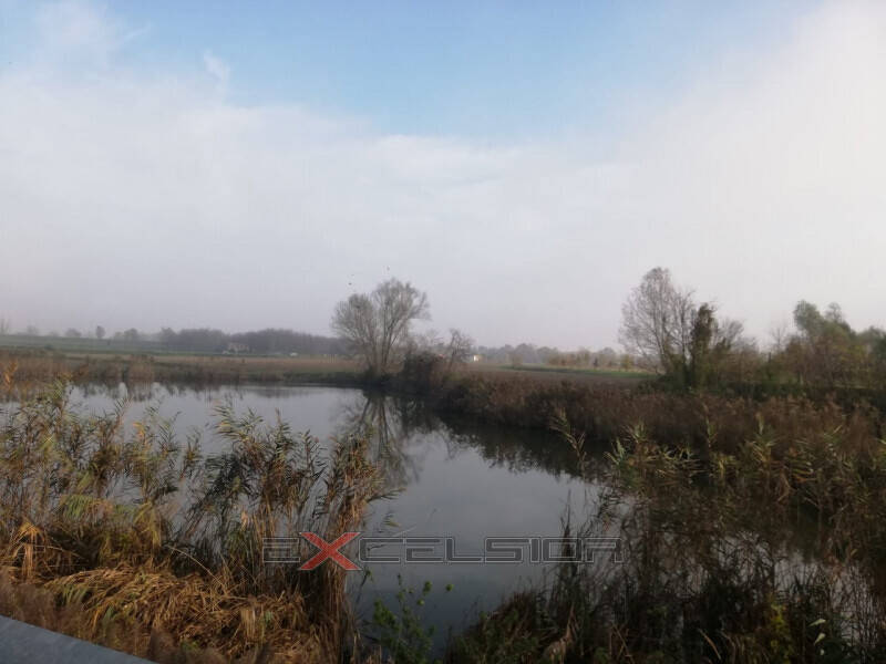terreno agricolo in vendita a Pettorazza Grimani