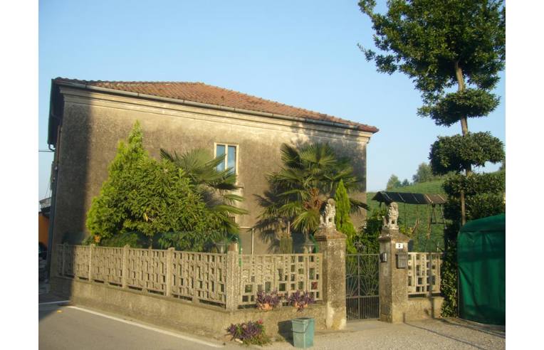 casa indipendente in vendita a Pettorazza Grimani in zona Papafava