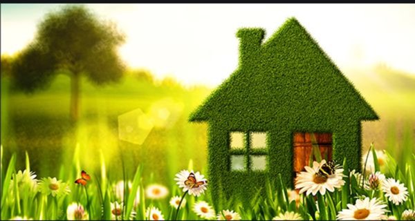 casa indipendente in vendita a Pettorazza Grimani