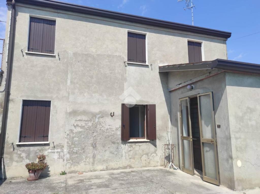 casa indipendente in vendita a Pettorazza Grimani in zona Papafava