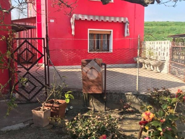 casa indipendente in vendita a Pettorazza Grimani in zona Papafava