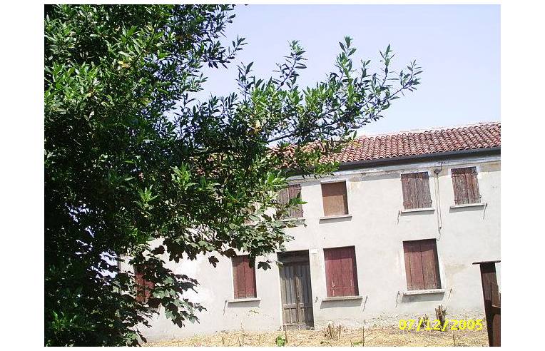 casa indipendente in vendita a Pincara