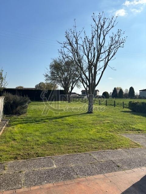 casa indipendente in vendita a Pincara