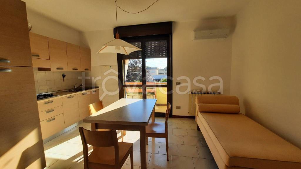 appartamento in vendita a Polesella