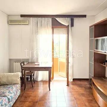 appartamento in vendita a Polesella