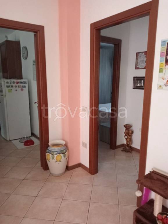 appartamento in vendita a Polesella