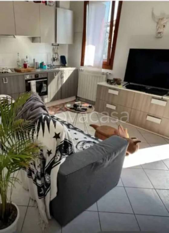appartamento in vendita a Polesella