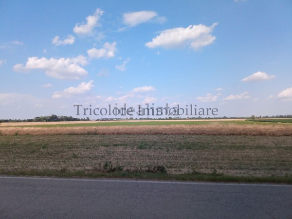 casa indipendente in vendita a Polesella