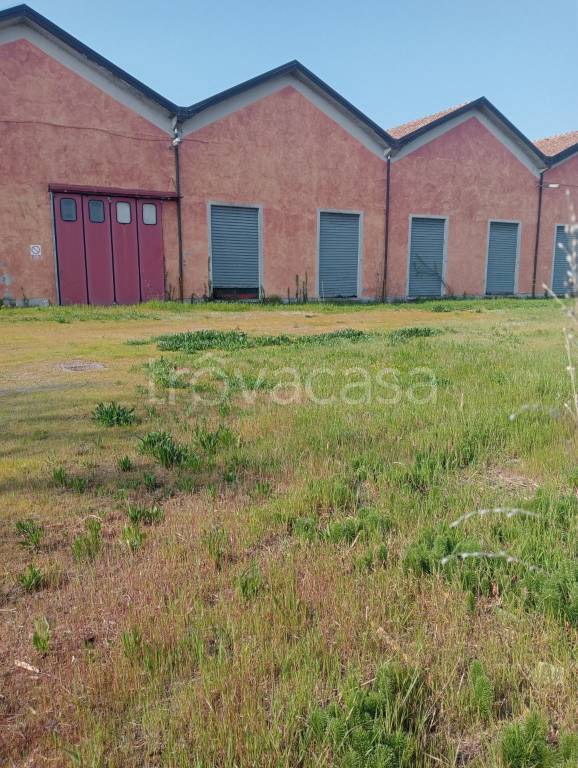 locale commerciale in vendita a Polesella