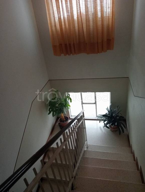 appartamento in vendita a Polesella