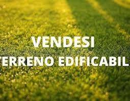 terreno agricolo in vendita a Pontecchio Polesine