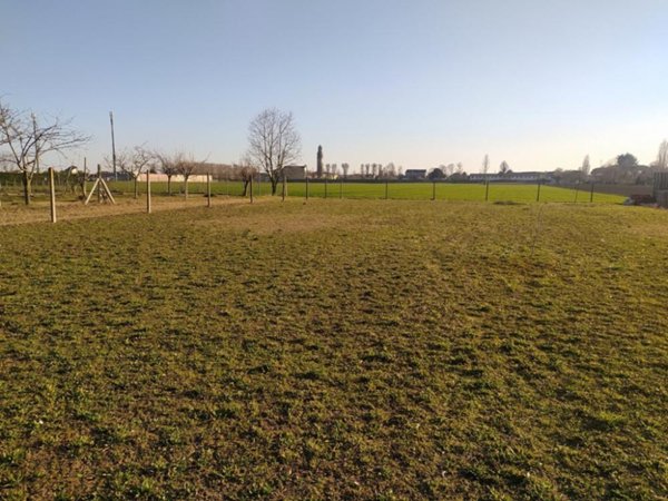 terreno edificabile in vendita a Pontecchio Polesine