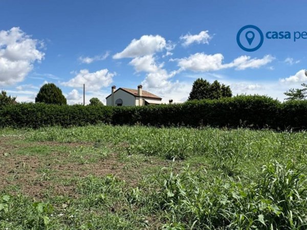 terreno agricolo in vendita a Pontecchio Polesine