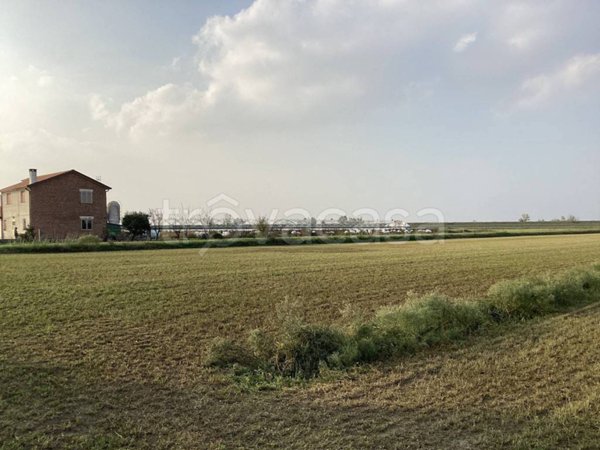 terreno agricolo in vendita a Porto Tolle