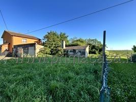 casa indipendente in vendita a Porto Tolle in zona Polesine Camerini