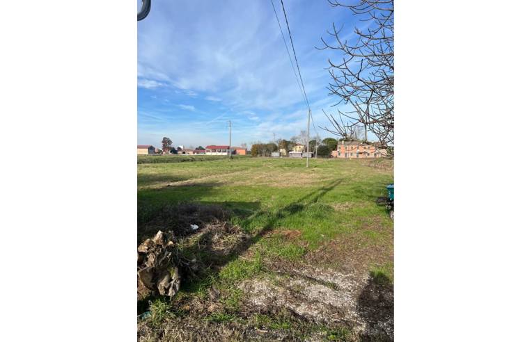 casa indipendente in vendita a Porto Tolle