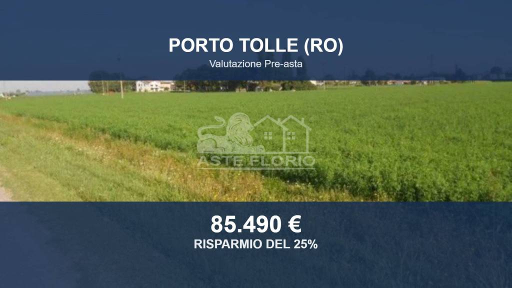terreno agricolo in vendita a Porto Tolle in zona Tolle
