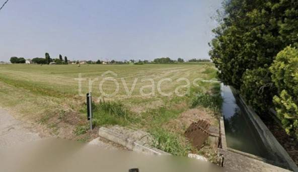 terreno agricolo in vendita a Porto Tolle