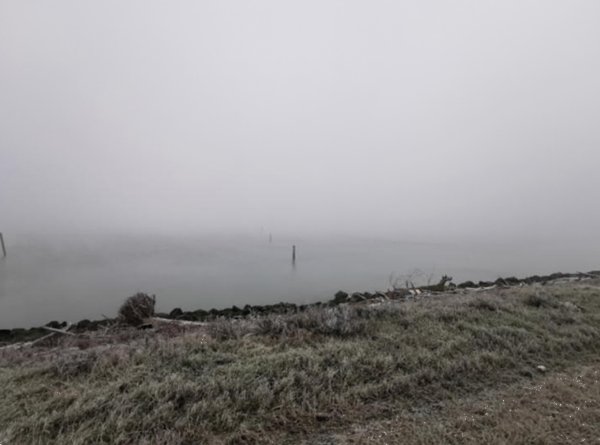 terreno agricolo in vendita a Porto Tolle in zona Donzella