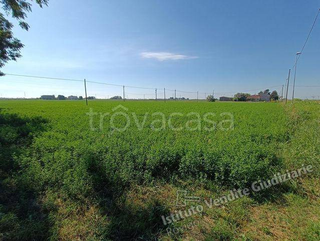 terreno agricolo in vendita a Porto Tolle in zona Tolle