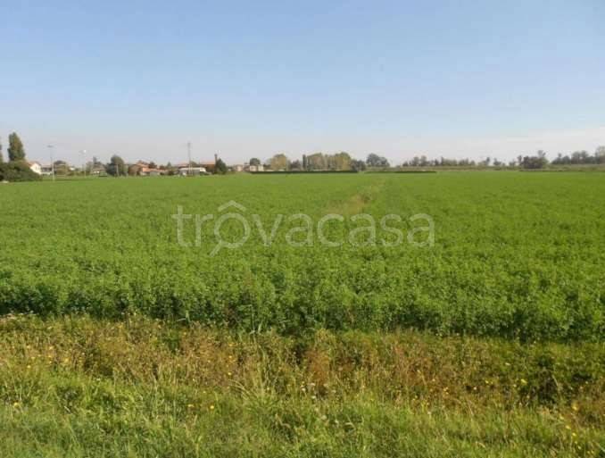 terreno agricolo in vendita a Porto Tolle in zona Tolle