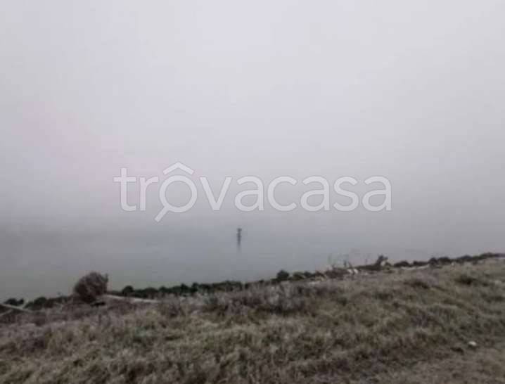 terreno agricolo in vendita a Porto Tolle in zona Donzella