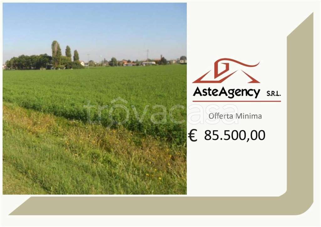 terreno agricolo in vendita a Porto Tolle in zona Tolle